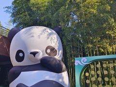 -杭州植物园