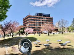 -金泽21世纪美术馆