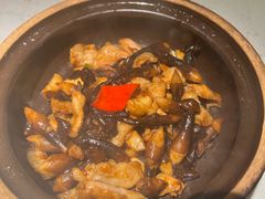 -大榕树下顺德菜(融创茂店)