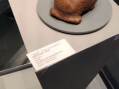 -北京周口店北京人遗址博物馆