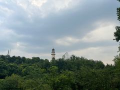 -金海湾滨江公园
