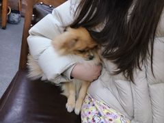 -老姐石板烧烤+铜炭火锅(总店)