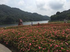-广州市石门国家森林公园