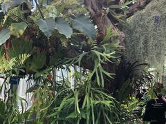 -国家植物园南园