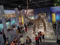 -国家自然博物馆