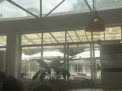 -芭厘农庄老字号·清远鸡