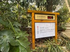 -天目湖涵田半山温泉