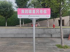 -南京眼步行桥