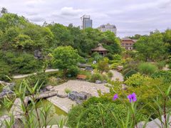 -上海吴淞炮台湾国家湿地公园