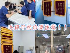 -派美特宠物医院·核磁CT·骨科肿瘤·疑难转诊(沈农禾丰店)