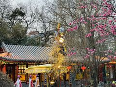 -白家大院·王府宫廷菜(苏州街店)