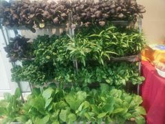 -山东八大碗山东老字号