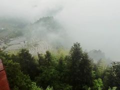 -紫鹊界梯田景区