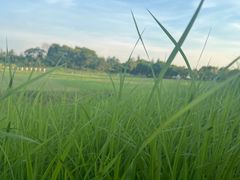 -滆湖低碳生态公园