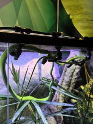 -酷嗒动物文化乐园(cutezoo西溪乐天城店)