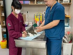 -瑞派宠物医院·CT影像中心·猫友好医院(奥城店)