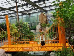 -南宫五洲植物乐园