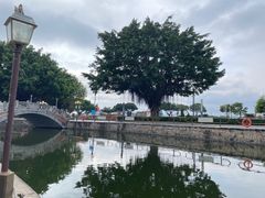 -石炮台公园