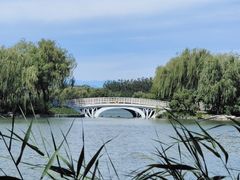 -大兴滨河森林公园
