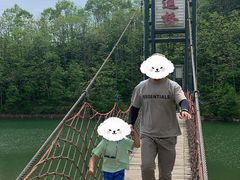 -黄椅山火山森林公园