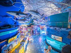 -烟台海昌鲸鲨海洋公园