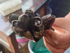 -阿军排档·烧烤