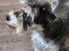-FAELING PETS美天灵宠物(富力广场店)