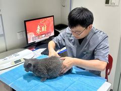 -伟伟宠物医院·CT影像中心·瑞派犬猫综合性门诊(汉口总院)
