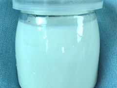 冰冻双皮奶-龙桥私厨·姜花菊花过桥鱼·顺德菜(容桂店)