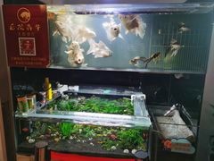-后院犇牛主题餐厅(云岗店)