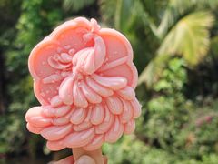 -曼听御花园
