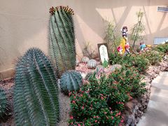 -正佳雨林生态植物园