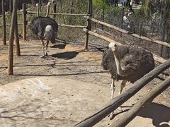 -云南野生动物园