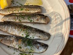 -TOMATITO(无限极荟店)