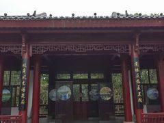 -堤角公园