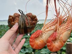 -七的湖·晚芳亭·阳澄湖农家菜·大闸蟹(莲花岛店)