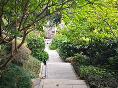 -乌山风景区