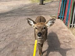 -水上乐园·欢乐世界