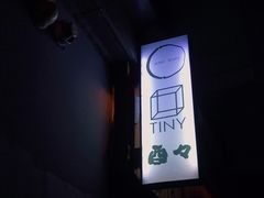 -TINY