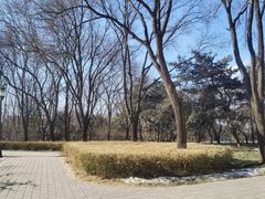 -玲珑塔公园