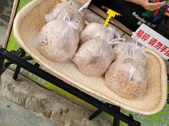 -清风小镇闯关东影视基地