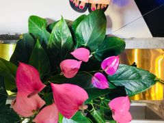 -南京时尚莱迪购物广场(正洪街店)