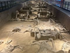 -洛阳周王城天子驾六博物馆