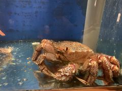 -大岛日本料理铁板烧(南通大饭店)
