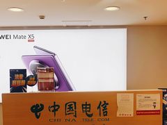 -中国电信(南京东路营业厅)