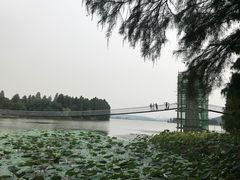 -东湖落雁景区
