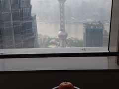-上海柏悦酒店
