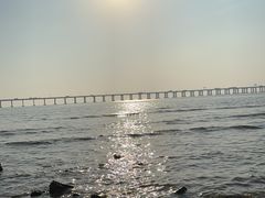 -宝安西湾红树林湿地公园