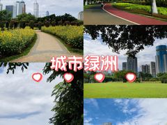 -万绿园
