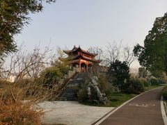 -武汉园博园(武汉自然博物馆)